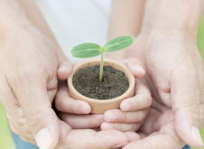 �����񍐎ʐ^